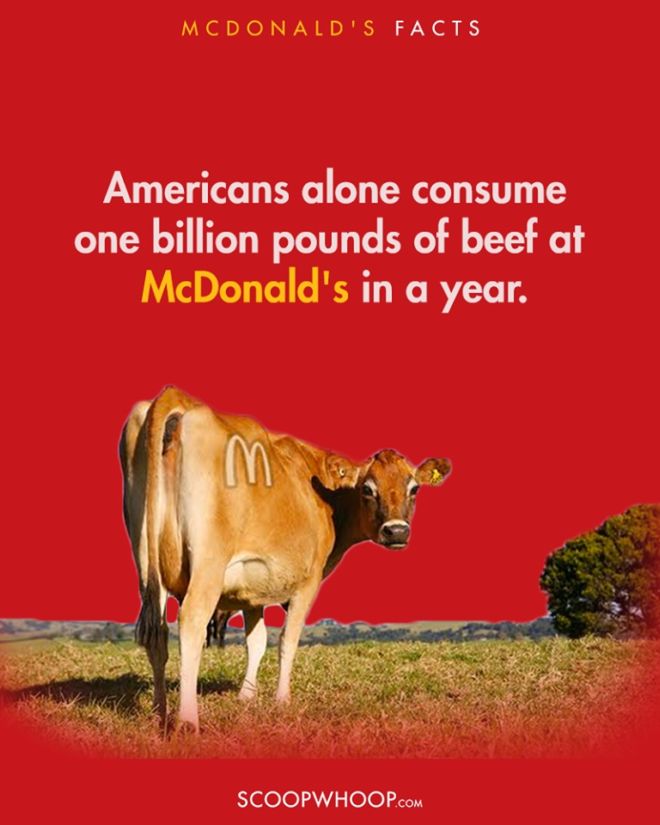 Interesting Facts About McDonald's | Funotic.com