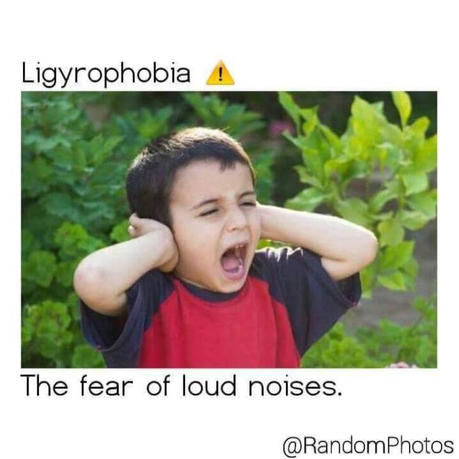A phobia is an fear of something. Make fun of child Fear. Ligyrophobia. The funny Noise.