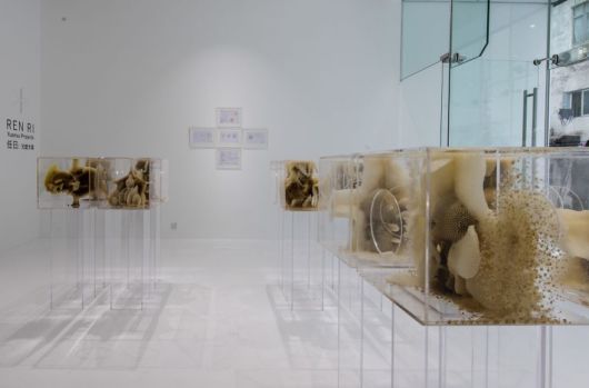 Beautiful Artworks Of Beeswax