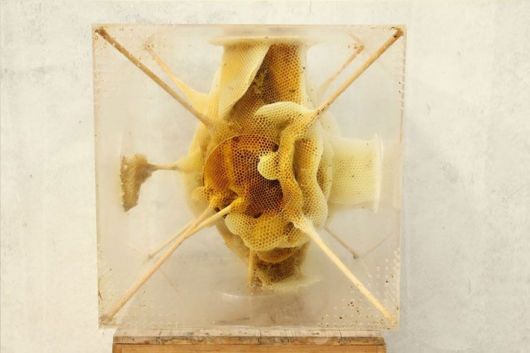 Beautiful Artworks Of Beeswax