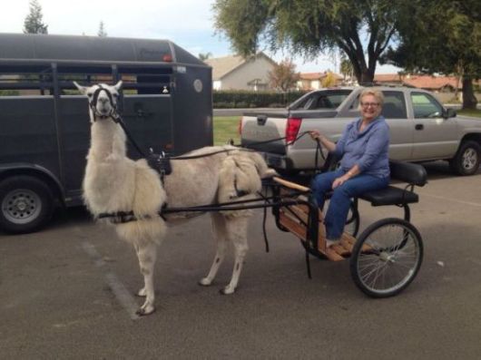 Remember, Age Is Just A Number