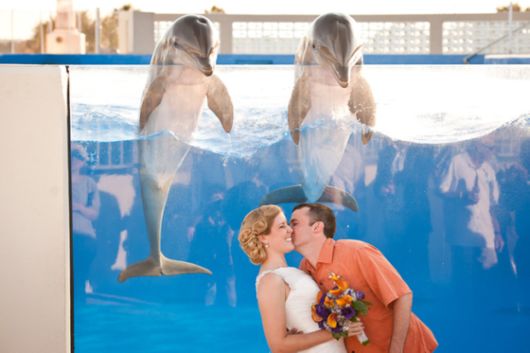 The Best Wedding Photobombs Ever