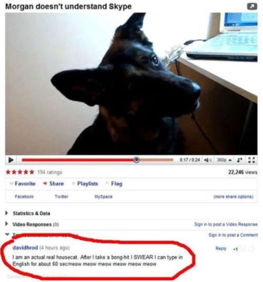 YouTube Comments Can Be Brilliant