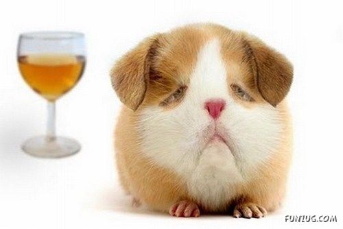 Animals That Never Existed (PhOtoshop Fun)