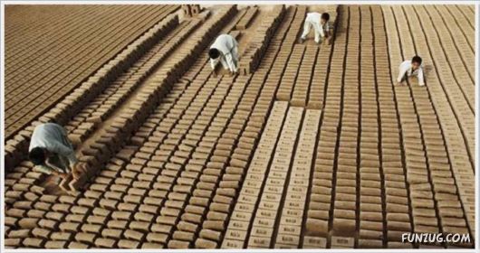 Cool Funny Pics Of The Day