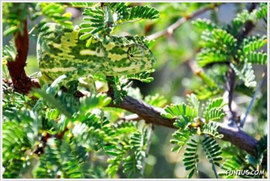 Cool Funny Pics Of The Day