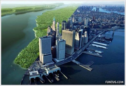 Cool Funny Pics Of The Day