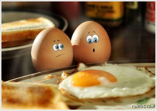 Cool Funny Pics Of The Day