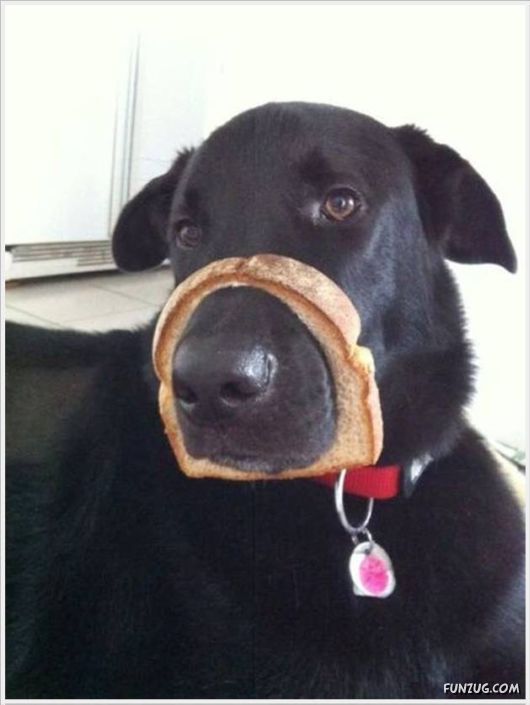 Cool Funny Pix Of The Day