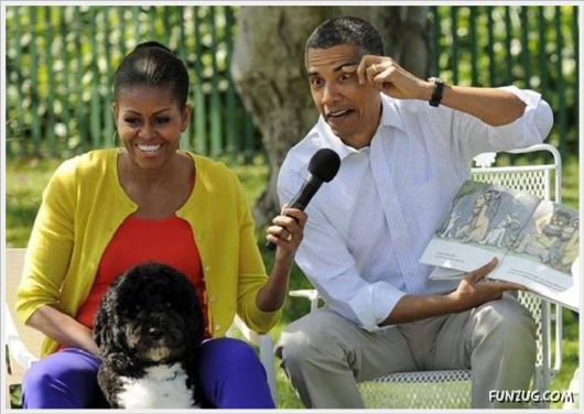 Cool Funny Pix Of The Day