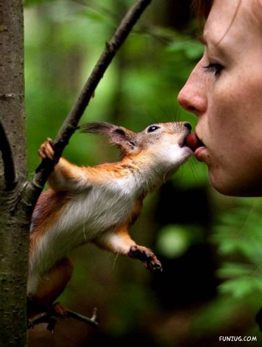 Funny Daily Pic Mania