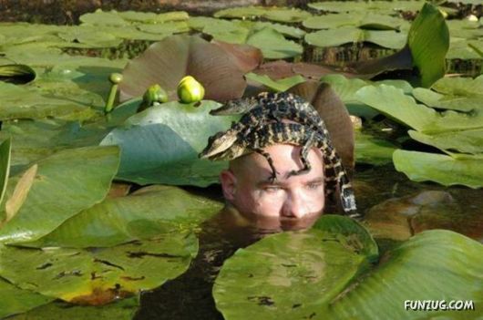 Funny Daily Pic Mania