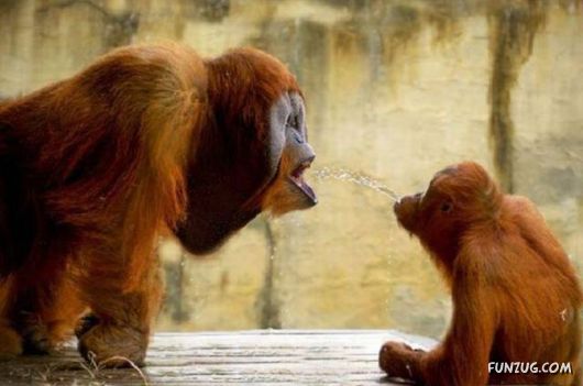 Funny Daily Pic Mania