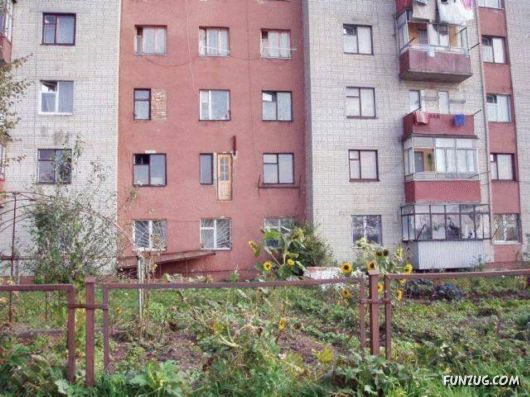 Funny Daily Pic Mania