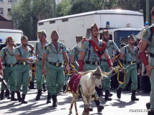 Funny Daily Pic Mania