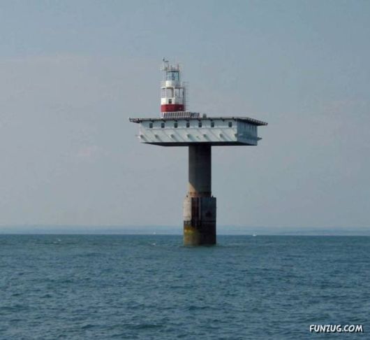 Funny Daily Pic Mania