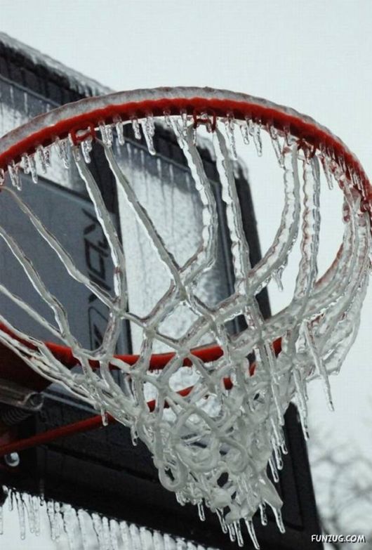 Funny Daily Pic Mania