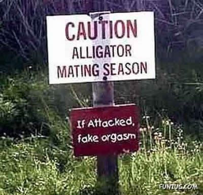 A Collection Of Funny Sign Boards