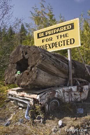 A Collection Of Funny Sign Boards