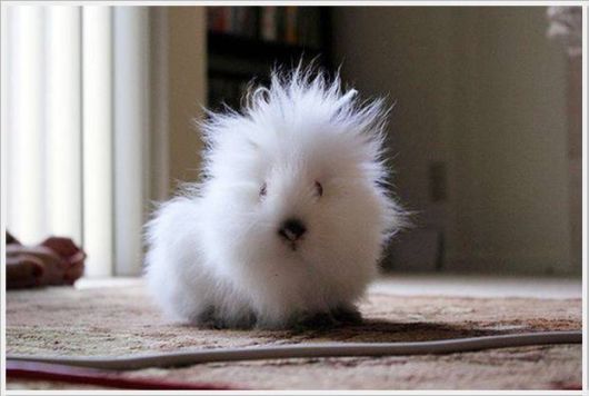 Many Cool Funny Pictures