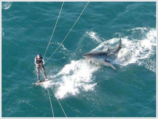 Many Cool Funny Pictures