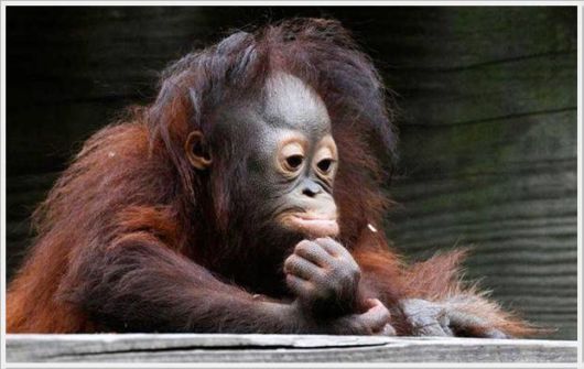 Many Cool Funny Pictures