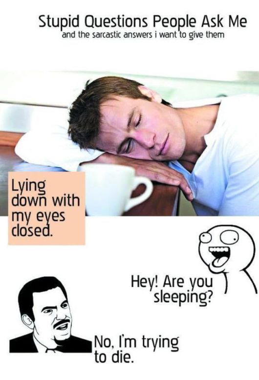 Stupid Questions People Ask Me