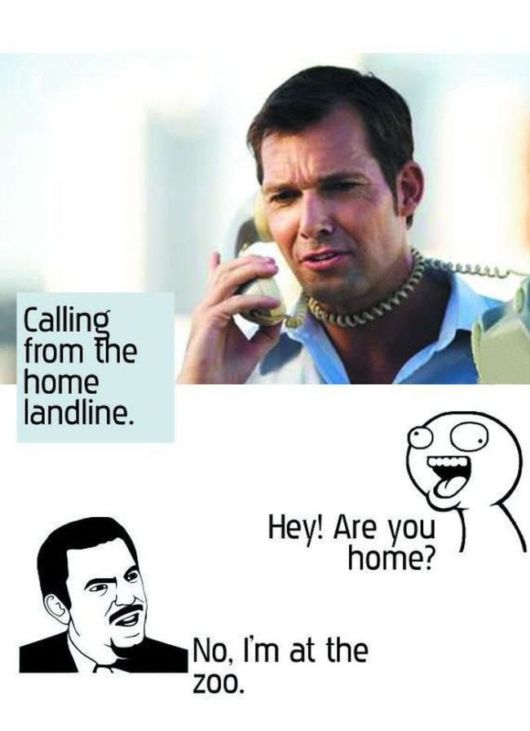 Stupid Questions People Ask Me