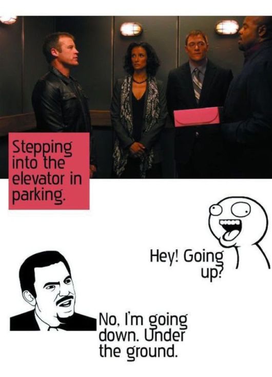 Stupid Questions People Ask Me