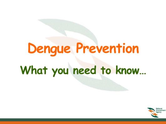 Know Everything About Dengue