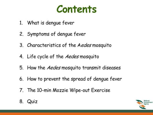 Know Everything About Dengue
