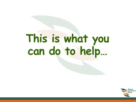 Know Everything About Dengue