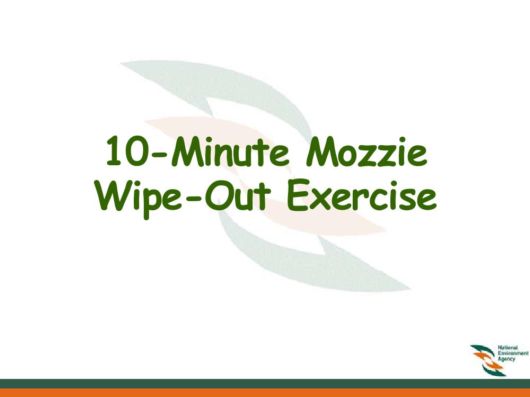 Know Everything About Dengue