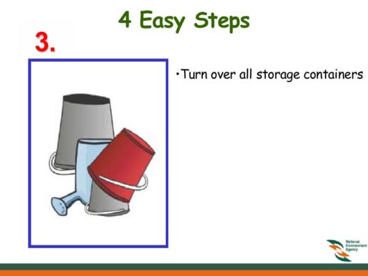 Know Everything About Dengue