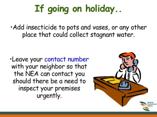 Know Everything About Dengue