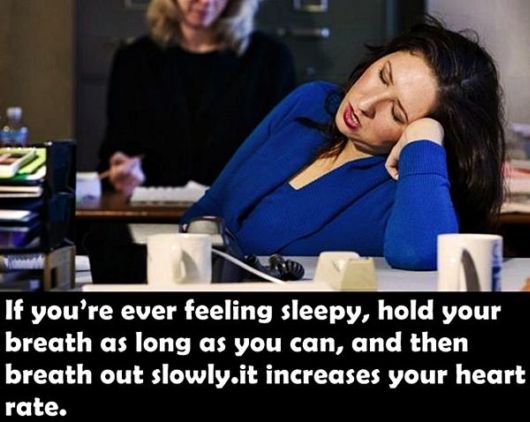 Did You Know These Amazing Facts?