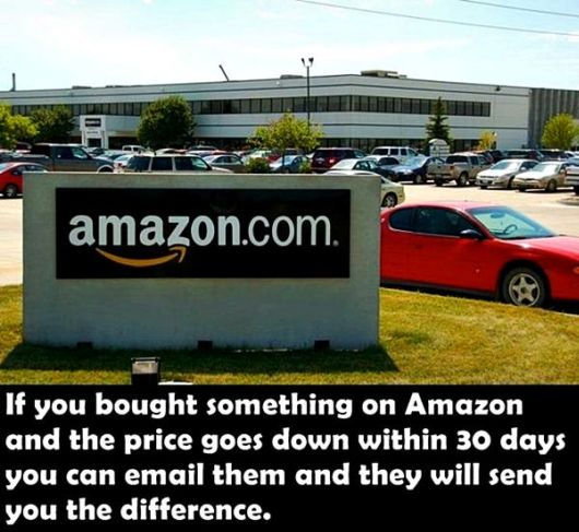 Did You Know These Amazing Facts?