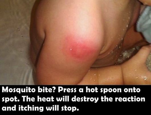 Did You Know These Amazing Facts?