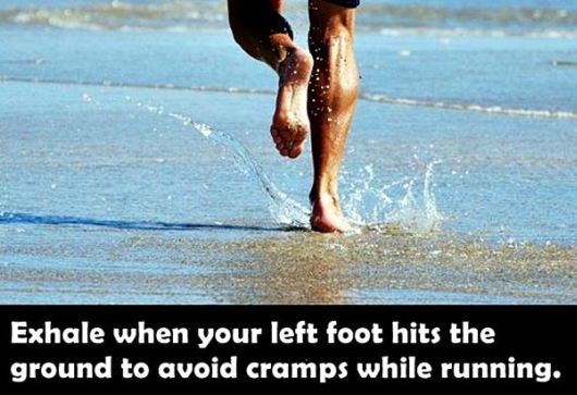 Did You Know These Amazing Facts?