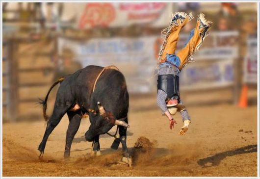 A Selection Of Awesome Cool Photos