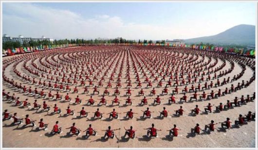 A Selection Of Awesome Cool Photos