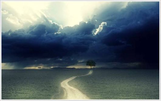 A Selection Of Awesome Cool Photos