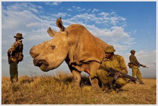 A Selection Of Awesome Cool Photos