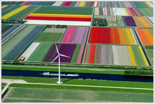 A Selection Of Awesome Cool Photos