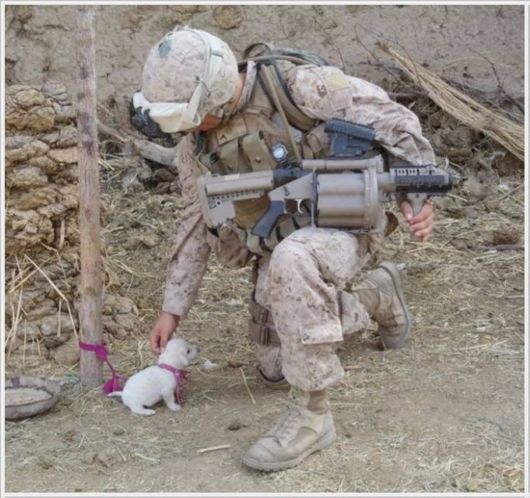 A Selection Of Awesome Cool Photos