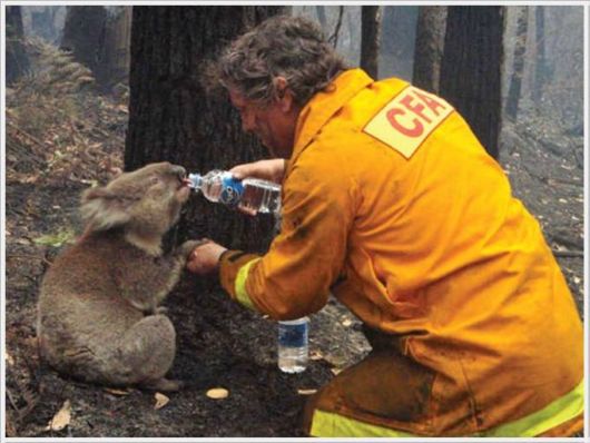 A Selection Of Awesome Cool Photos