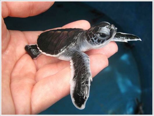 A Selection Of Awesome Cool Photos