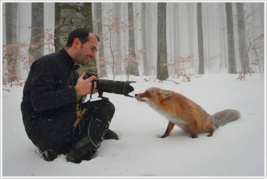 A Selection Of Awesome Cool Photos