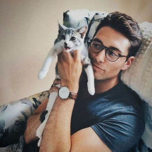 The Magical Pair Of Hot Dudes And Kittens