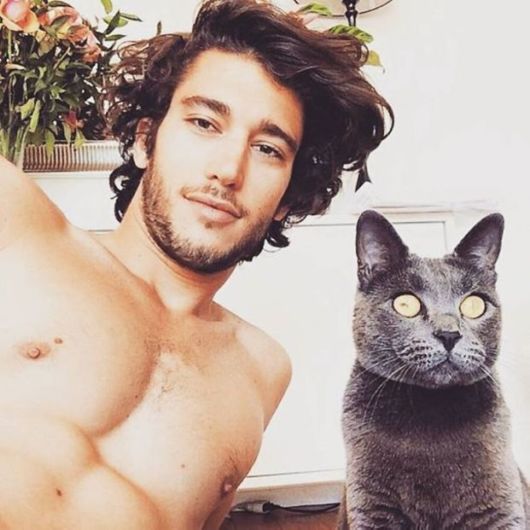 The Magical Pair Of Hot Dudes And Kittens